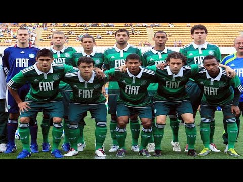 Palmeiras no Brasileiro 2010