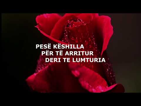 PESË KËSHILLA PËR TË ARRITUR DERI TE LUMTURIA - Naim Hoxha