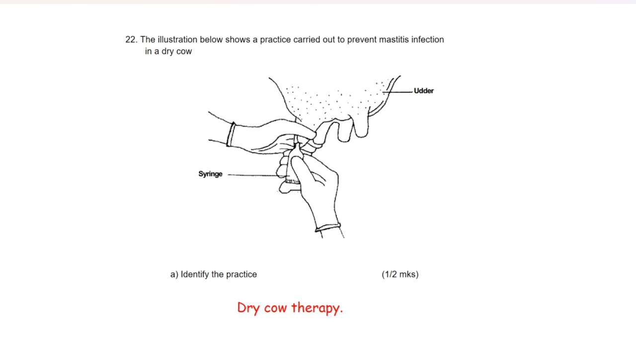 KCSE 2011 #agriculture paper 2 #questions and answers #livestock production #farming