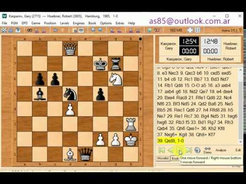 Garry kasparov and huebner robert 1985 hamburg 1 0 499