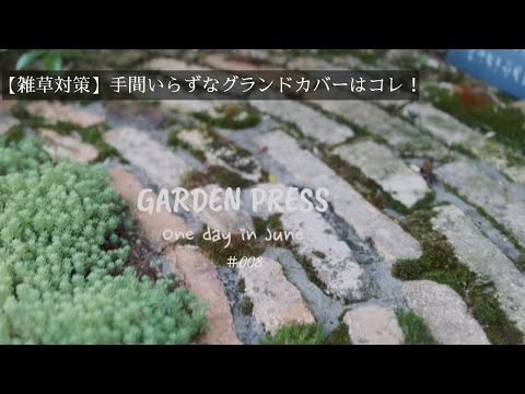 丈夫なグランドカバー:最高のタイプ トピックス