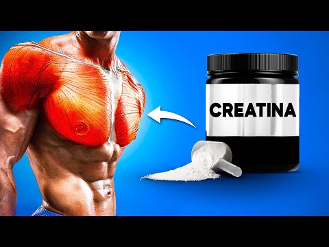 Como Fica o Corpo de Quem Toma Creatina?
