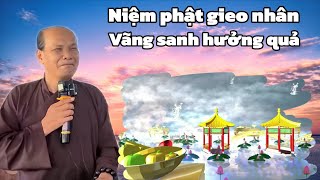 Chú bảy thiện chia sẻ niệm phật gieo nhân vãng sanh hưởng quả