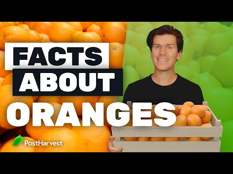 Facts About Oranges
