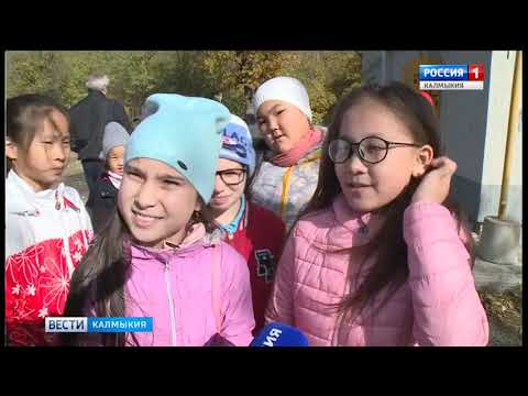 Вести «Калмыкия»: дневной выпуск 02.11.2018