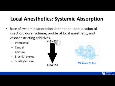 ITE Review | Regional Anesthesia: Physiology and Pharmacology - Dr. Johnson