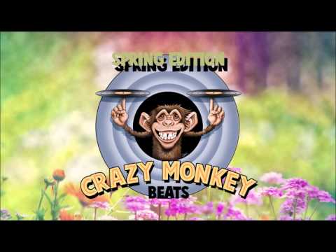 Crazy Monkey Beats- EP02 - Spring Edition 2016 - 100% Techhouse !