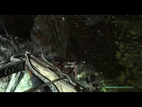 Caves of skyrim: Darkshade.
