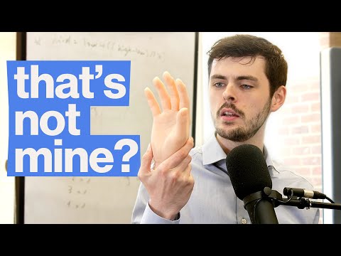 The Fake Hand Illusion