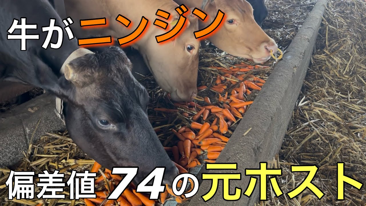 元ホストが和牛農家の道へ進みました