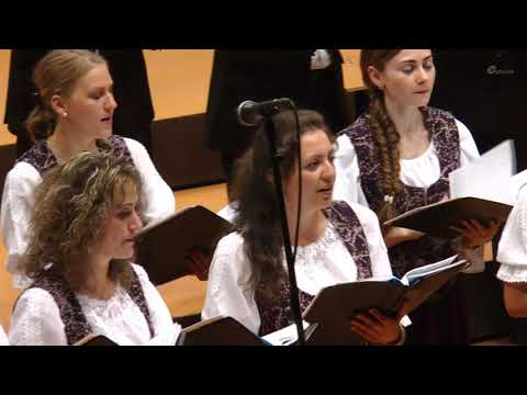 16  Sârba-n căruță - Gheorghe Danga