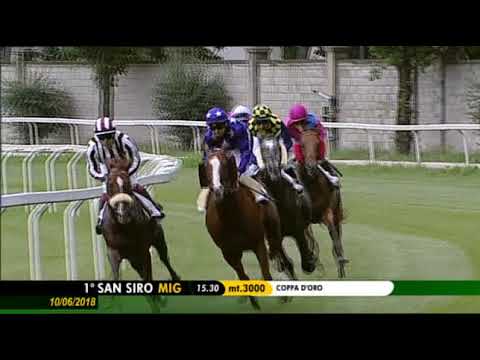 2018.06.10 Premio Coppa D'oro (ITA) - Chasedown