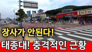 부산광역시 영도구 태종로 부산 태종대,  프랜차이즈도 못버텨 | 휴가철에도 박살난 자영업 영상 썸네일
