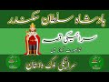 Sultan Skindar Beautiful Qissa