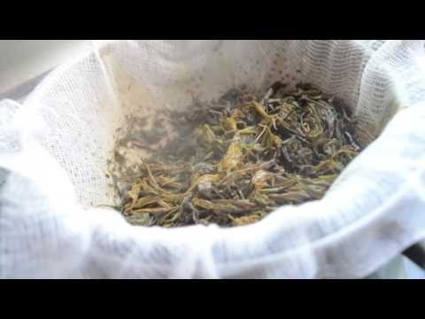 How to Make Cannabis Infused Butter