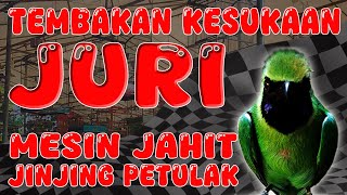 Download lagu ISIAN TEMBAKAN FAVORIT JURI DI GANTANGAN, MESIN JAHIT mix JINJING PETULAK SUARA KASAR #cucakijo mp3 Download lagu ISIAN TEMBAKAN FAVORIT JURI DI GANTANGAN, MESIN JAHIT mix JINJING PETULAK SUARA KASAR #cucakijo mp3