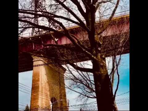 WEEDKILLER The Bridge from DIE MINOR