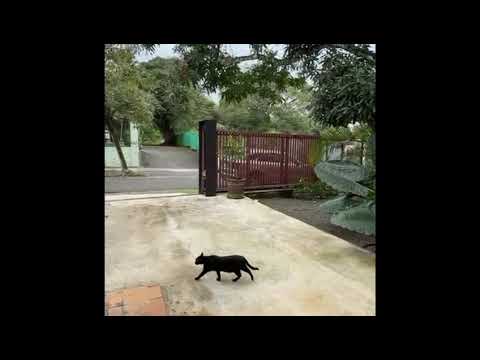 Imagen de Venta de Casas en Parrita - Parrita Parrita - PUNTARENAS