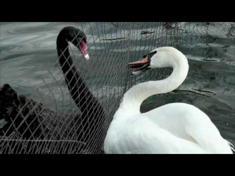 In Time   -  Я буду рядом ft Danny Rite (prod. by Danny Rite)