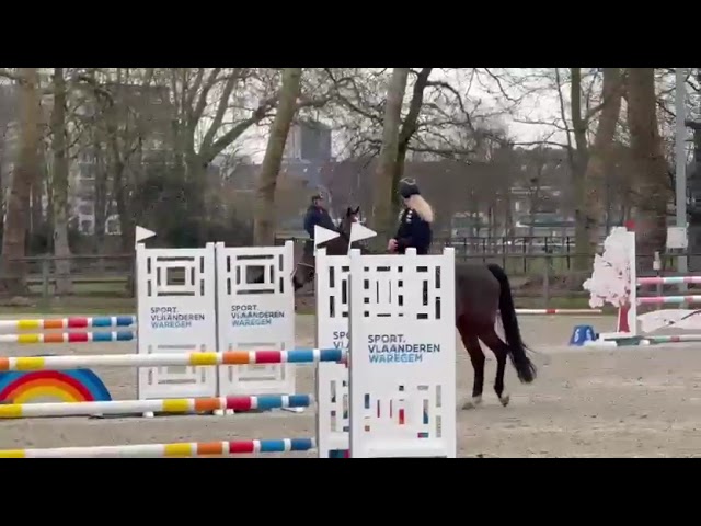 1ST DAM DOUDOU VAN OVERIS