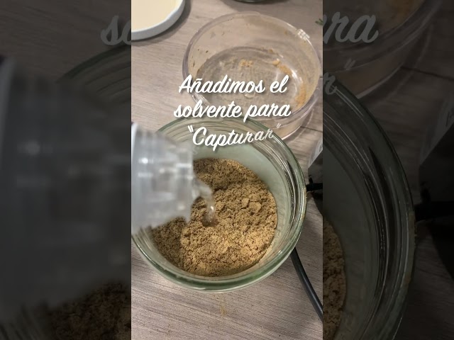 Vídeo relacionado con Alpi Nature Haba Tonka Orgánica 200g, Habas Tonka Enteras para Cocinar, Hornear y Postres