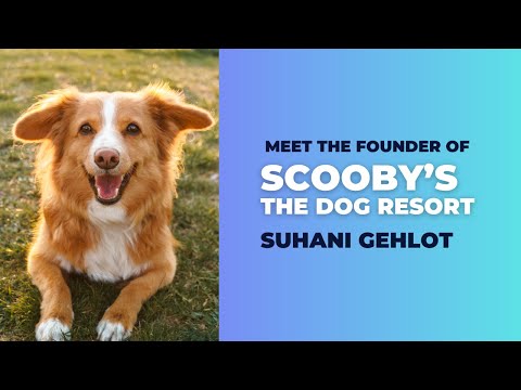 Meet the Founder of Scooby's: The Dog Resort, Suhani Gehlot