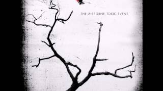 The Airborne Toxic Event   Wishing Well