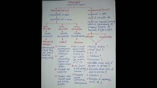 Adrenal Gland || Chemical Coordination And Integration Class 11 #shorts