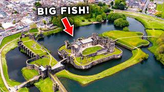 What Fish Live In This Castle Moat?