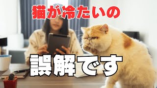猫ってなんで無視するの？その理由が意外すぎた