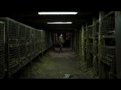 İz / Spoor - Türkçe altyazılı fragman