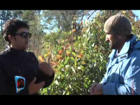 06 Air Tv GUSTAVO LONGO