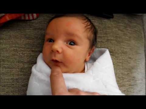 Cellan Vs. Jason Nevins