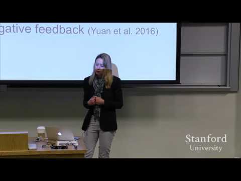 Stanford Webinar When Your Big Data Seems Too Small