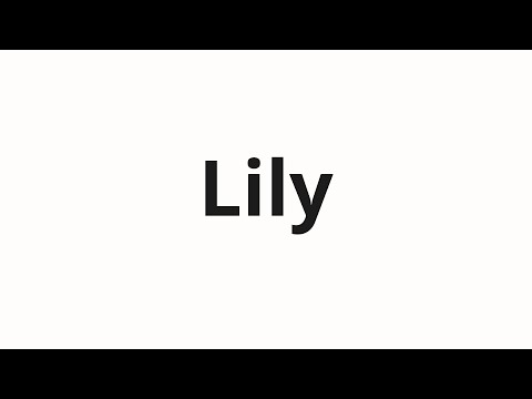 How to pronounce Lily