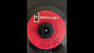 Lesley Gore Maybe Now  YW1 8761