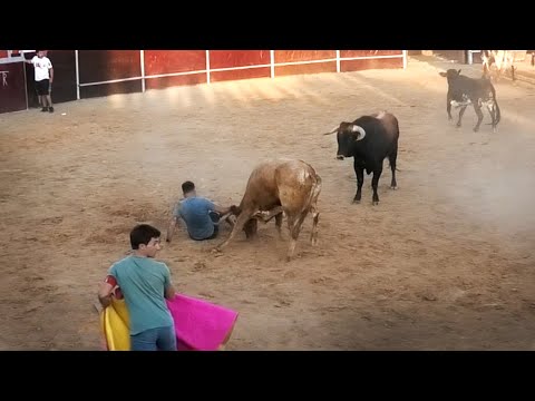 Matapozuelos 2023 Increíble como se Libra del Toro