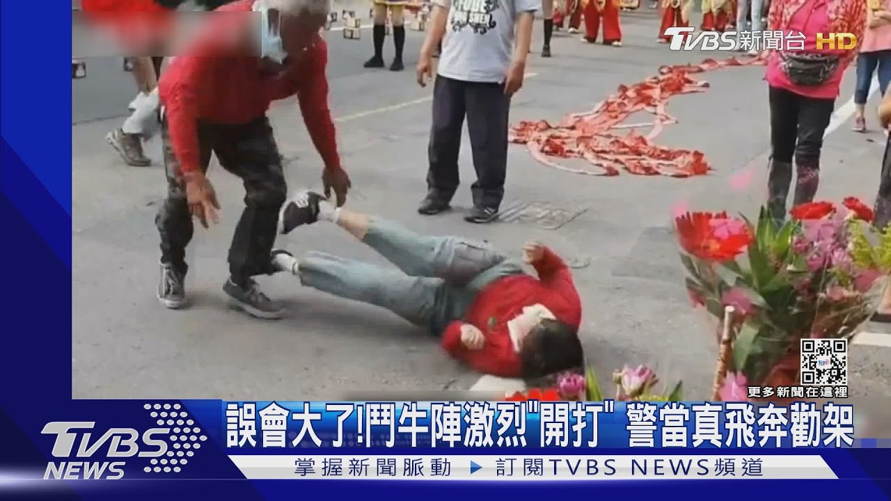 誤會大了!鬥牛陣激烈「開打」 員警當真飛奔勸架