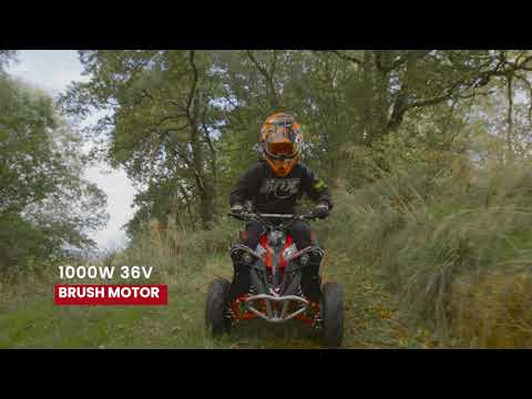 Renegade Race-X 36V 1000W Electric Quad Bike