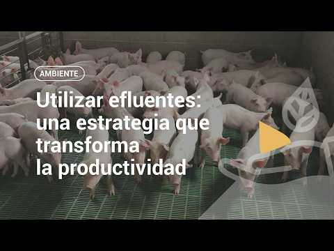 Utilizar efluentes: una estrategia que transforma la productividad