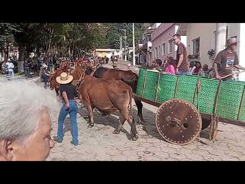 desfile dê carro dê 🐂🐂🐂 Olaria Mina gerais segunda parte 