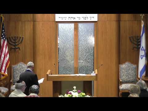 CBI Boca Livestream: Shabbat Morning Service and Torah Study