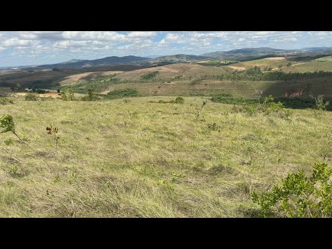 A venda 80 hectares por apenas 800 mil reais Madre de deus Minas Gerais