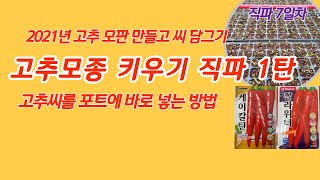 고추씨 직파 1탄 모판만들고 씨담그기 고추 모종키우기 [고추재배기술]