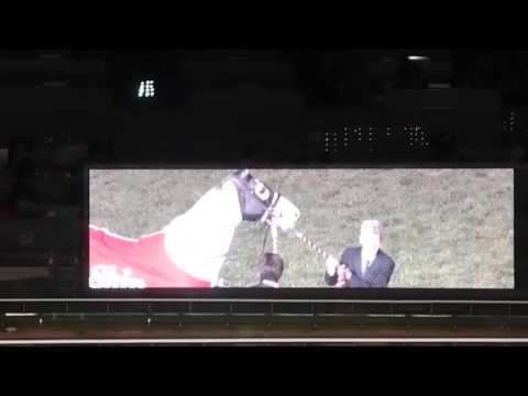 2015.12.27　有馬記念ゴールドシップ引退式_04