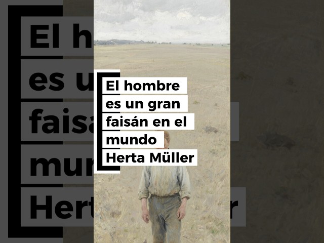 Vídeo relacionado con Hambre y seda (El Ojo del Tiempo nº 64)