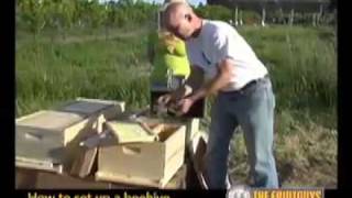 The Best Way to Set Up a Bee Hive