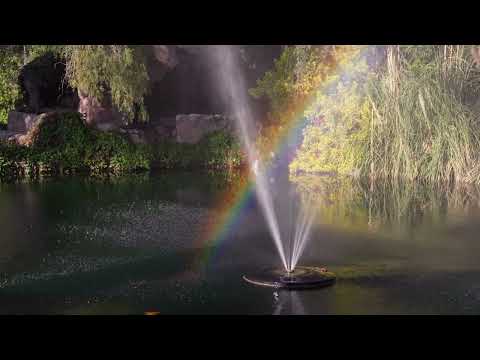 The Orchard by Wedgewood Weddings #2