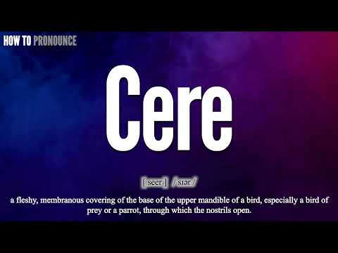 Cere Pronunciation | How to Pronounce (say) Cere CORRECTLY | Meaning Definition