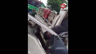 সুখিয়া বাজার সংলগ্ন ভয়া/বহ সড়ক দুর্ঘ*টনা, নিহত ৪ যাত্রী ও ৭ গরু | Daily Sakalbela